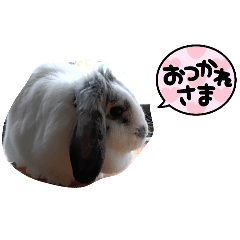 Yuto_20250410194130