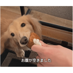 nono_20250410232403