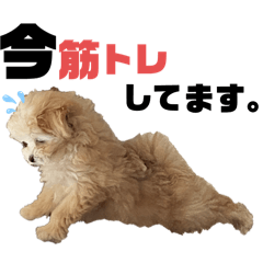 Yuukichi_20250410234711