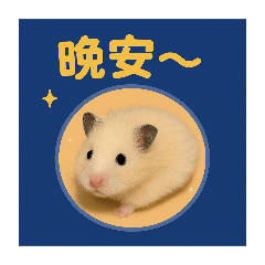 麻荖的生活語錄