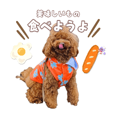 michan_20250410195151