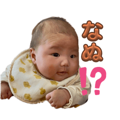 ryo_20250410214004