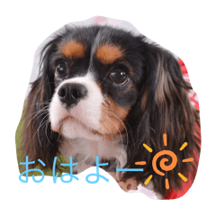 haru_20250411004802