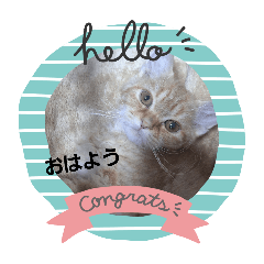 saya_20250411010207