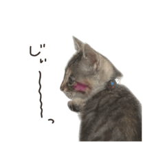 mumunnpu