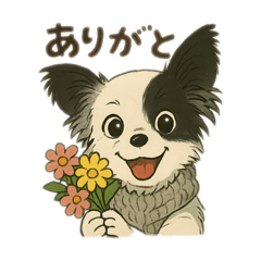 Momo20250227