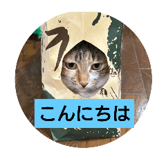 sumire chan2