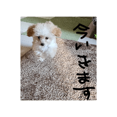 Takeru_20250410205755