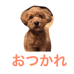 kanouke