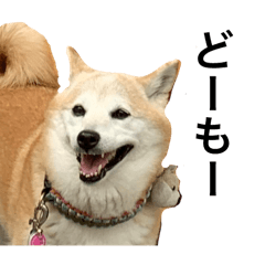 emi_20250410225912