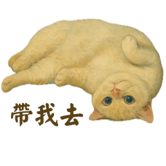 情勒曼赤肯