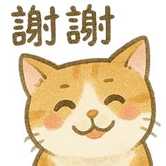 A big orange cat :)