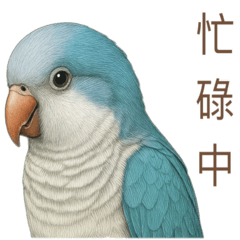 鸚鵡圖鑑 2