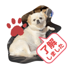 Mei_20250410212750