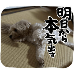 ayame_20250410212419