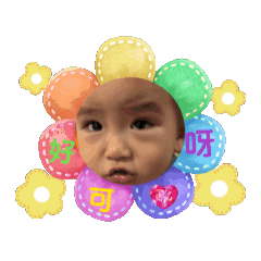 希圻動動