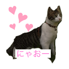 Nana_20250411085048