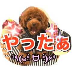 Coco ちゃんのかわいいスタンプ Line スタンプ Line Store