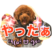 Coco's stamp cute