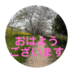 HIRO Spring