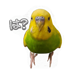 banana_20250410231543
