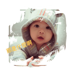 驚喜寶寶