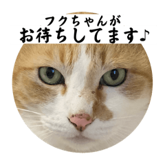 akiko_20250411080923