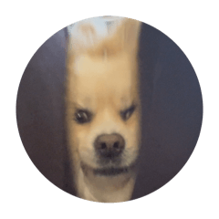 kaityo2