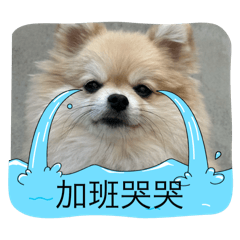 肥豬魯迪2