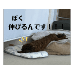 Sachi_20250411103854