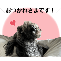 yuka_20250410112009