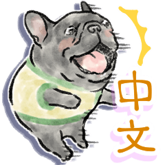 【中文】法國鬥牛犬反應驚人