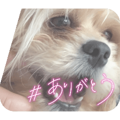 mako_20250411113932
