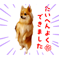 mari_20250411132033