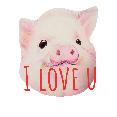 love messenger animals