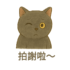呆萌英短實用貼圖
