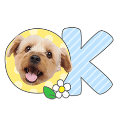 StampNo:5157