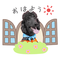 StampNo:5159