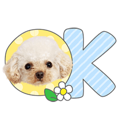 StampNo:5162