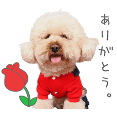 StampNo:5156
