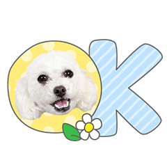 StampNo:5163