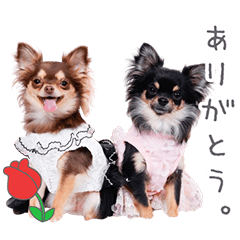 StampNo:5176