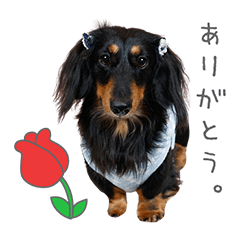 StampNo:5179