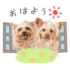 StampNo:5171