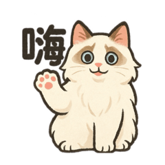 貓貓上班了