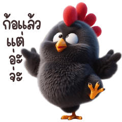 ไก่ดำกุ๊กๆหน้ากวนๆ บิ๊กติ๊ก
