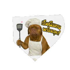 นีเมียนมาแล้ว(5)