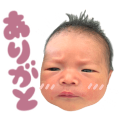 bibi_20250411144726
