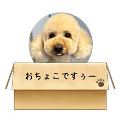 aoi_20250411145732