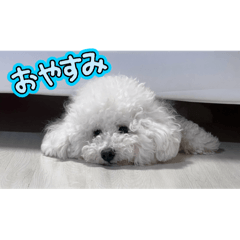 Daifuku_20250411152646